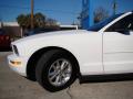 2008 Mustang V6 Premium Convertible #25