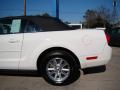 2008 Mustang V6 Premium Convertible #26