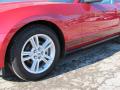 2010 Mustang V6 Premium Coupe #3