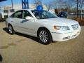 2008 Azera Limited #8