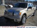 2010 F150 XLT SuperCrew 4x4 #2