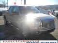 2010 F150 XLT SuperCrew 4x4 #4