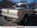 2010 F150 XLT SuperCrew 4x4 #6
