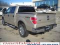 2010 F150 XLT SuperCrew 4x4 #8