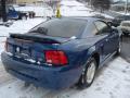 2000 Mustang V6 Coupe #4 2000 Mustang V6 Coupe #4