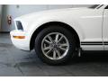 2005 Mustang V6 Premium Coupe #11