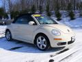 2006 New Beetle 2.5 Convertible #8