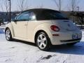 2006 New Beetle 2.5 Convertible #12