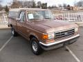  1990 Ford F150 Dark Chestnut Metallic #5