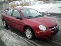 2004 Neon SXT #11
