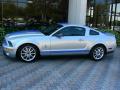  2009 Ford Mustang Brilliant Silver Metallic #2