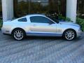  2009 Ford Mustang Brilliant Silver Metallic #4