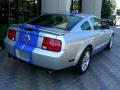  2009 Ford Mustang Brilliant Silver Metallic #9