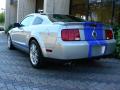  2009 Ford Mustang Brilliant Silver Metallic #10