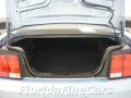 2008 Mustang V6 Deluxe Coupe #10