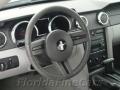 2008 Mustang V6 Deluxe Coupe #15