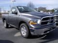2010 Ram 1500 SLT Regular Cab #4
