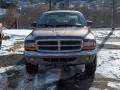 2001 Dakota SLT Quad Cab 4x4 #7