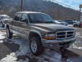 2001 Dakota SLT Quad Cab 4x4 #8