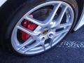 2009 911 Carrera S Cabriolet #20