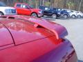 2008 Mustang GT/CS California Special Convertible #10