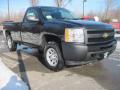 2010 Silverado 1500 Regular Cab 4x4 #3