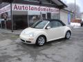 2007 New Beetle 2.5 Convertible #16
