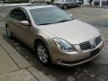 2006 Maxima 3.5 SL #6