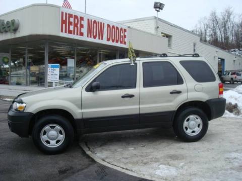 Gold Ash Metallic Ford Escape XLS.  Click to enlarge.