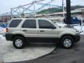 2006 Escape XLS #5