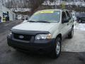 2006 Escape XLS #8