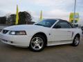 2004 Mustang V6 Convertible photo #2
