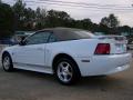 2004 Mustang V6 Convertible photo #8