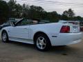 2004 Mustang V6 Convertible photo #10