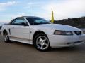 2004 Mustang V6 Convertible photo #14