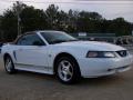 2004 Mustang V6 Convertible #28