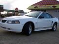 2004 Mustang V6 Convertible #29