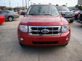 2008 Escape XLT #11