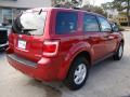 2008 Escape XLT #16