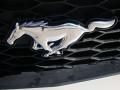 2005 Mustang GT Premium Coupe #29