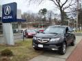 2007 MDX Technology #1