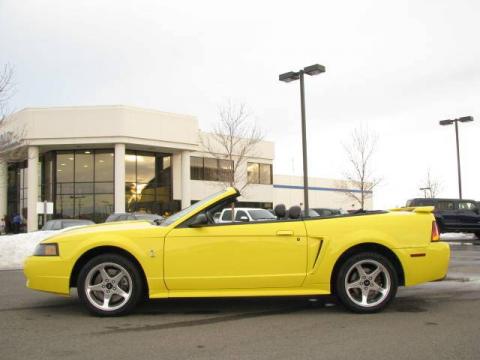 Zinc Yellow Metallic Ford Mustang Cobra Convertible.  Click to enlarge.