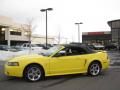 2001 Mustang Cobra Convertible #2