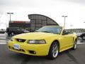 2001 Mustang Cobra Convertible #3