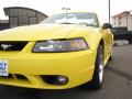 2001 Mustang Cobra Convertible #4