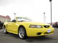 2001 Mustang Cobra Convertible #5