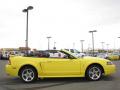 2001 Mustang Cobra Convertible #6