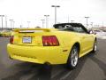 2001 Mustang Cobra Convertible #7