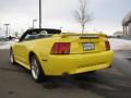 2001 Mustang Cobra Convertible #8