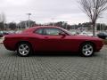 2009 Challenger SE #6